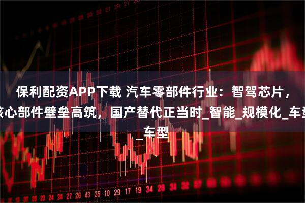 保利配资APP下载 汽车零部件行业：智驾芯片，核心部件壁垒高筑，国产替代正当时_智能_规模化_车型